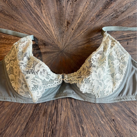 Elegant Lace Trimmed‎ Bra in Green - Picture 4 of 11